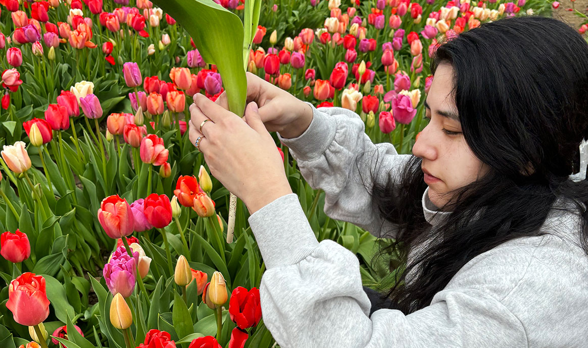 Victoria picking flowers